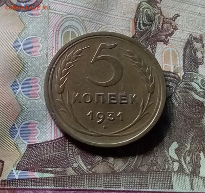 5 копеек 1931. До 07.11.24 в 22.00 - 20241103_135201