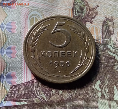 5 копеек 1956. До 07.11.24 в 22.00 - 20241103_140340