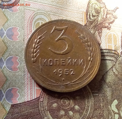 3 копейки 1952. До 07.11.24 в 22.00 - 20241103_144503