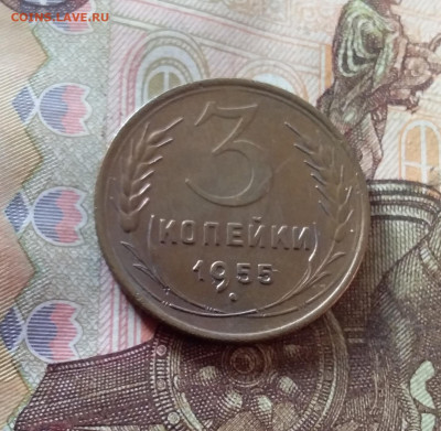3 копейки 1955. До 07.11.24 в 22.00 - 20241103_151016