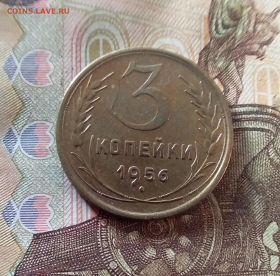 3 копейки 1956. До 07.11.24 в 22.00 - 20241103_151614