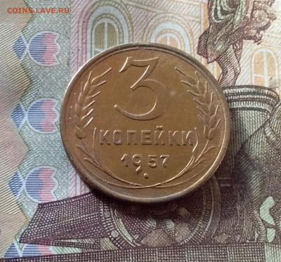 3 копейки 1957. До 07.11.24 в 22.00 - 20241103_151904