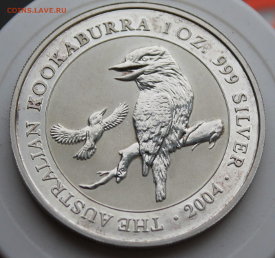 Австралия 1 доллар 2004 год - IMG_8435.JPG