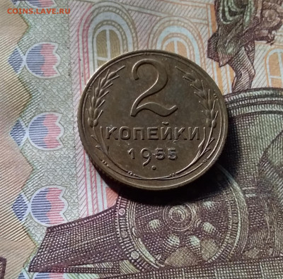 2 копейки 1955. До 07.11.24 в 22.00 - 20241103_161059