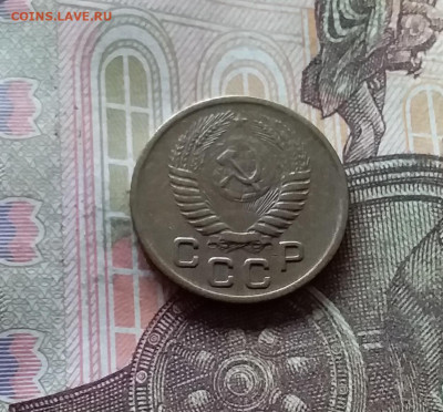 1 копейка 1956. До 07.11.24 в 22.00 - 20241103_171501