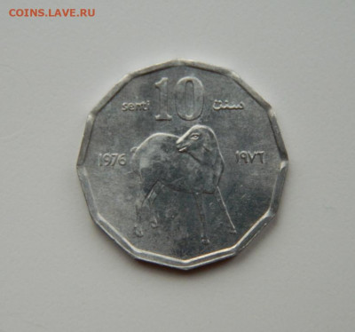 Сомали 10 центов 1976 г. (Фауна)  до 09.11.24 - DSCN2511.JPG