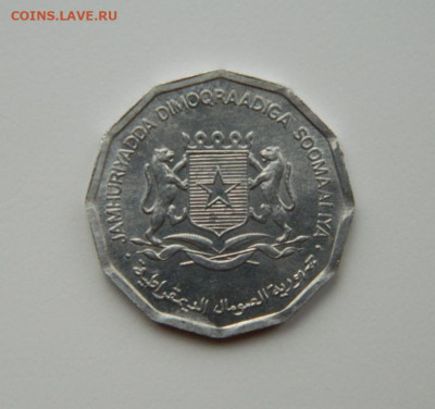 Сомали 10 центов 1976 г. (Фауна)  до 09.11.24 - DSCN2512.JPG