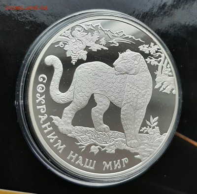3р 2011 Переднеазиатский леопард. Сохраним наш мир 31,1 - 20241104_155559