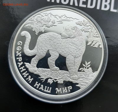 3р 2011 Переднеазиатский леопард. Сохраним наш мир 31,1 - 20241104_155607