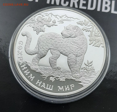 3р 2011 Переднеазиатский леопард. Сохраним наш мир 31,1 - 20241104_155612