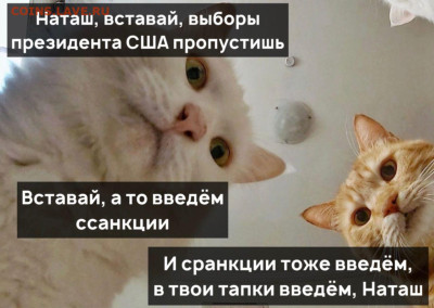 делает - прямо сейчас !!! - 28197138_678