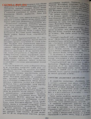 Любители "тихой охоты" есть? Все сюда :) - 5