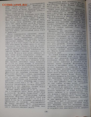 Любители "тихой охоты" есть? Все сюда :) - 3