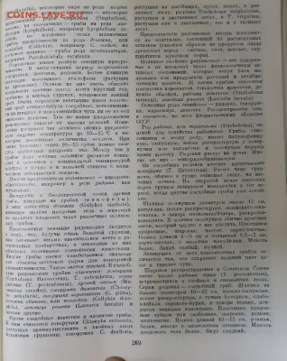 Любители "тихой охоты" есть? Все сюда :) - 2