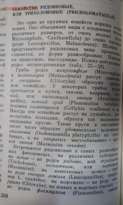 Любители "тихой охоты" есть? Все сюда :) - 1