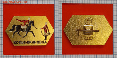 Значок – Вольтижировка – до 22:00, 11.11.24 - Зн-217