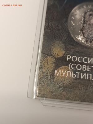 Союзное Государство, ежик простой ФИКС - IMG_20241106_180954