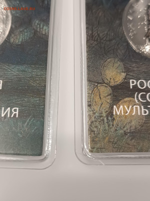 Союзное Государство, ежик простой ФИКС - IMG_20241106_180951
