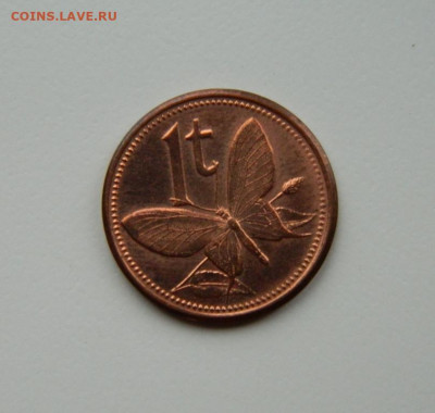 Папуа-Новая Гвинея 1 тойя 2004 г. (Фауна) до 12.11.24 - DSCN2638.JPG