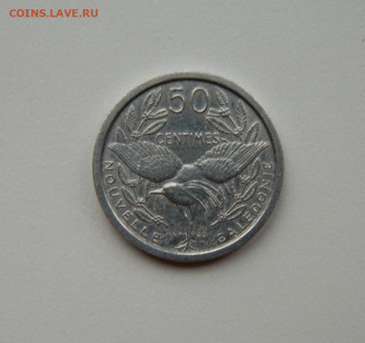 Фр. Новая Каледония 50 сантимов 1949 г. (Фауна) до 12.11.24 - DSCN2635.JPG