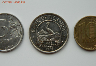 Уганда 1 шиллинг 1976 г. (Фауна) до 12.11.24 - DSCN2521.JPG