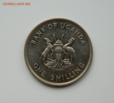 Уганда 1 шиллинг 1976 г. (Фауна) до 12.11.24 - DSCN2523.JPG