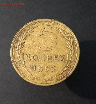 5 копеек 1952 год. СССР. До 13.11 - 20240329_193653