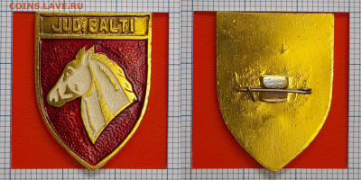 Герб – Jud.Balti – до 22:00, 15.11.24 - Зн-314