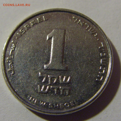 1 новый шекель Израиль №1 16.11.24 22:00 М - CIMG4662.JPG
