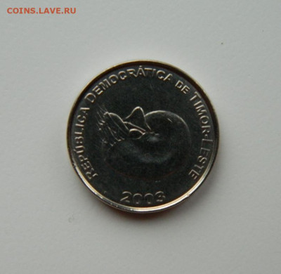 Восточный Тимор 1 сентаво 2003 г. (Фауна) до 17.11.24 - DSCN2744.JPG