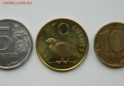 Гамбия 10 бутут 1998 г. (Фауна) до 17.11.24 - DSCN2690.JPG