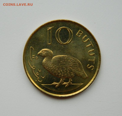 Гамбия 10 бутут 1998 г. (Фауна) до 17.11.24 - DSCN2691.JPG