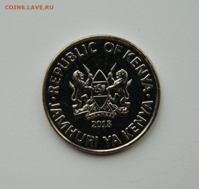 Кения 1 шиллинг 2018 г. (Фауна)  до 17.11.24 - DSCN2699.JPG