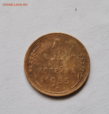 1 копейка 1955г. до 15.11. - 20240412_124738