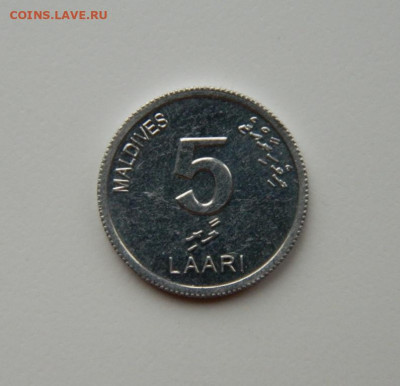 Мальдивские острова 5 лари 2012 г. (Фауна) до 18.11.24 - DSCN2838.JPG