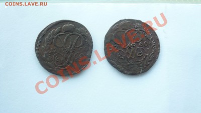 3шт. копейки(1757,1759) и 2шт деньга Елизаветы ( 1760 г) - P1090118.JPG