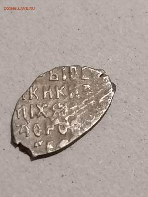 Чешуйка на определение - IMG_20241112_220440