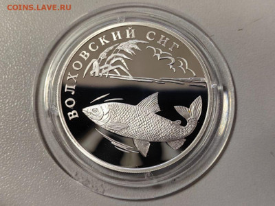 1руб 2005 Волховский сиг, Ag925 - 1р Волховский сиг-1
