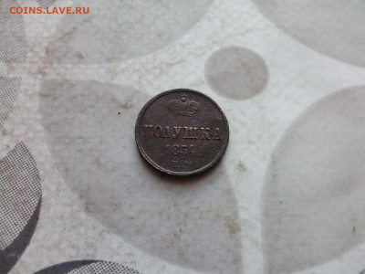 Полушка 1854 ем до 17.11.2024 - 1854 (37)