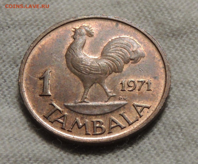 Малави 1 тамбала 1971 до 17.11.2024 - 1 тамбала.JPG