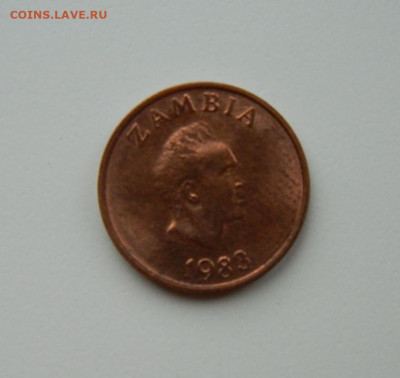 Замбия 1 нгве 1983 г. (Фауна) до 21.11.24 - DSCN3006.JPG