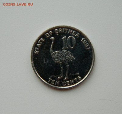 Эритрея 10 центов 1997 г. (Фауна) до 21.11.24 - DSCN2959.JPG