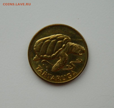 Кабо-Верде 1 эскудо 1994 г. (Фауна) до 21.11.24 - DSCN2926.JPG