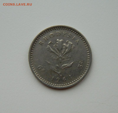 Британская Родезия 6 пенсов 1964 г. до 21.11.24 - DSCN2925.JPG
