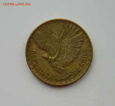 Чили 10 сентесимо 1963 г. (Кондор)  до 21.11.24 - DSCN2944.JPG