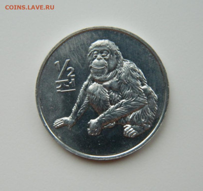 2 чон 2002 г(Юбилейная)Обезьяна до 21.11.24 - DSCN2872.JPG