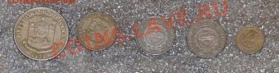 Экзотический тазик. Что осталось.... - Филлипины-11