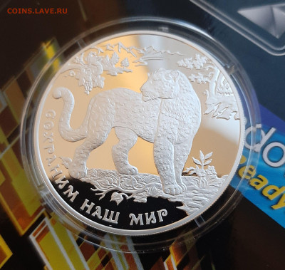 25р и 3р 2011 Переднеазиатский леопард. Сохраним наш мир - 20241117_171455