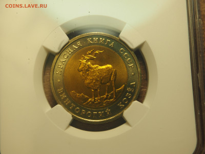 5 рублей 1991 КR Винт коз в слабе NGC MS66 до 23.11.2024 - P1010036.JPG