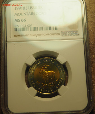 5 рублей 1991 КR Винт коз в слабе NGC MS66 до 23.11.2024 - P1010031.JPG